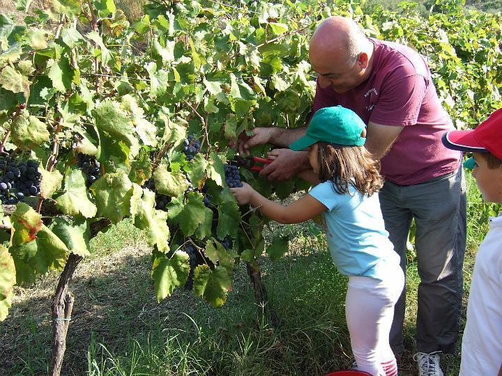 Agriturismo Parra Santa Lucia del Mela Eksteriør bilde