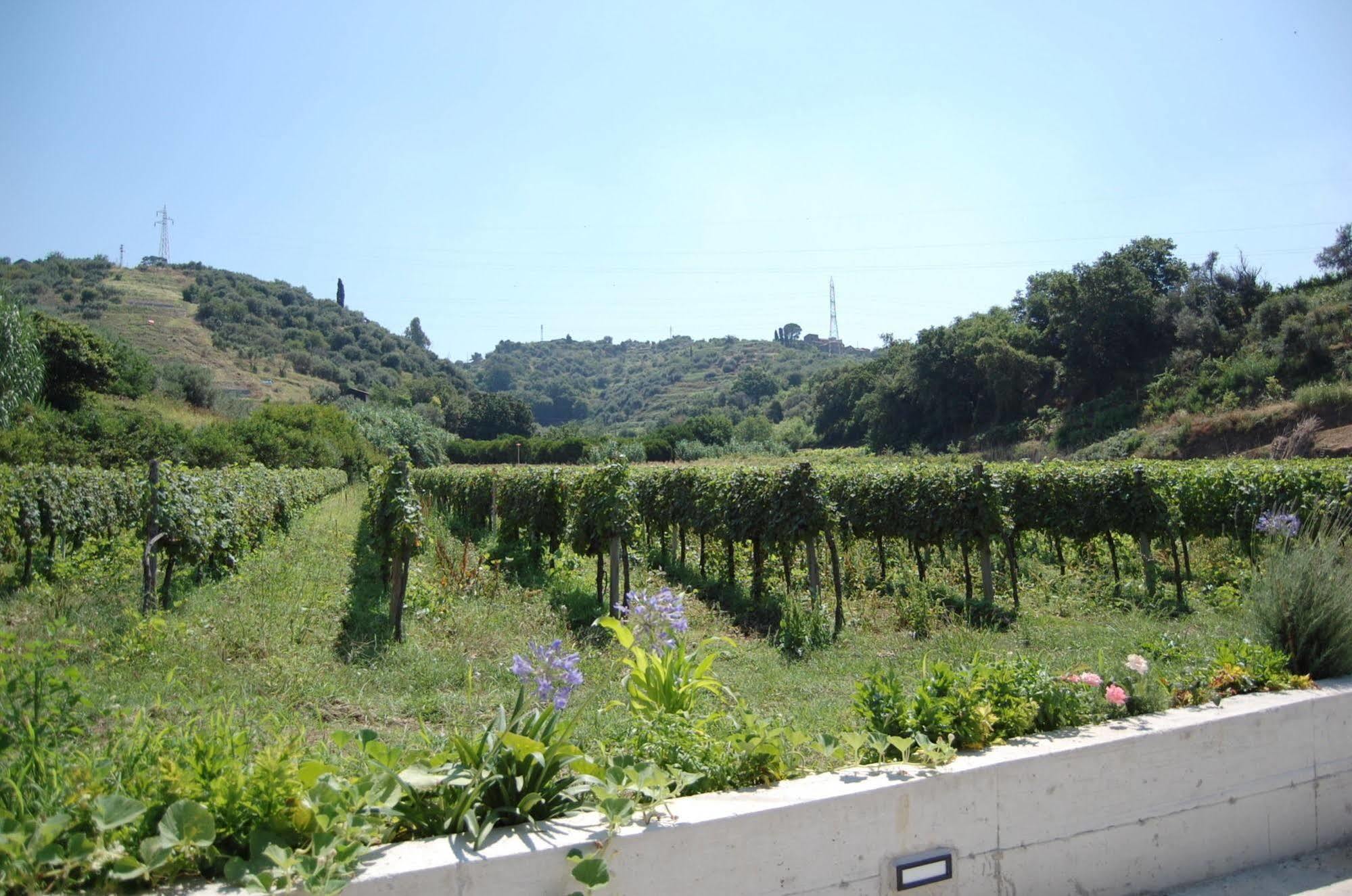 Agriturismo Parra Santa Lucia del Mela Eksteriør bilde